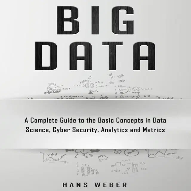 Big Data: A Complete Guide to the Basic Concepts in Data Science, Cyber Security, Analytics and Metrics by Hans Weber